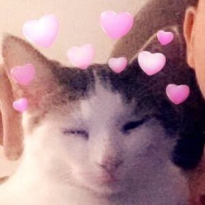 Meet your Posher, Leo